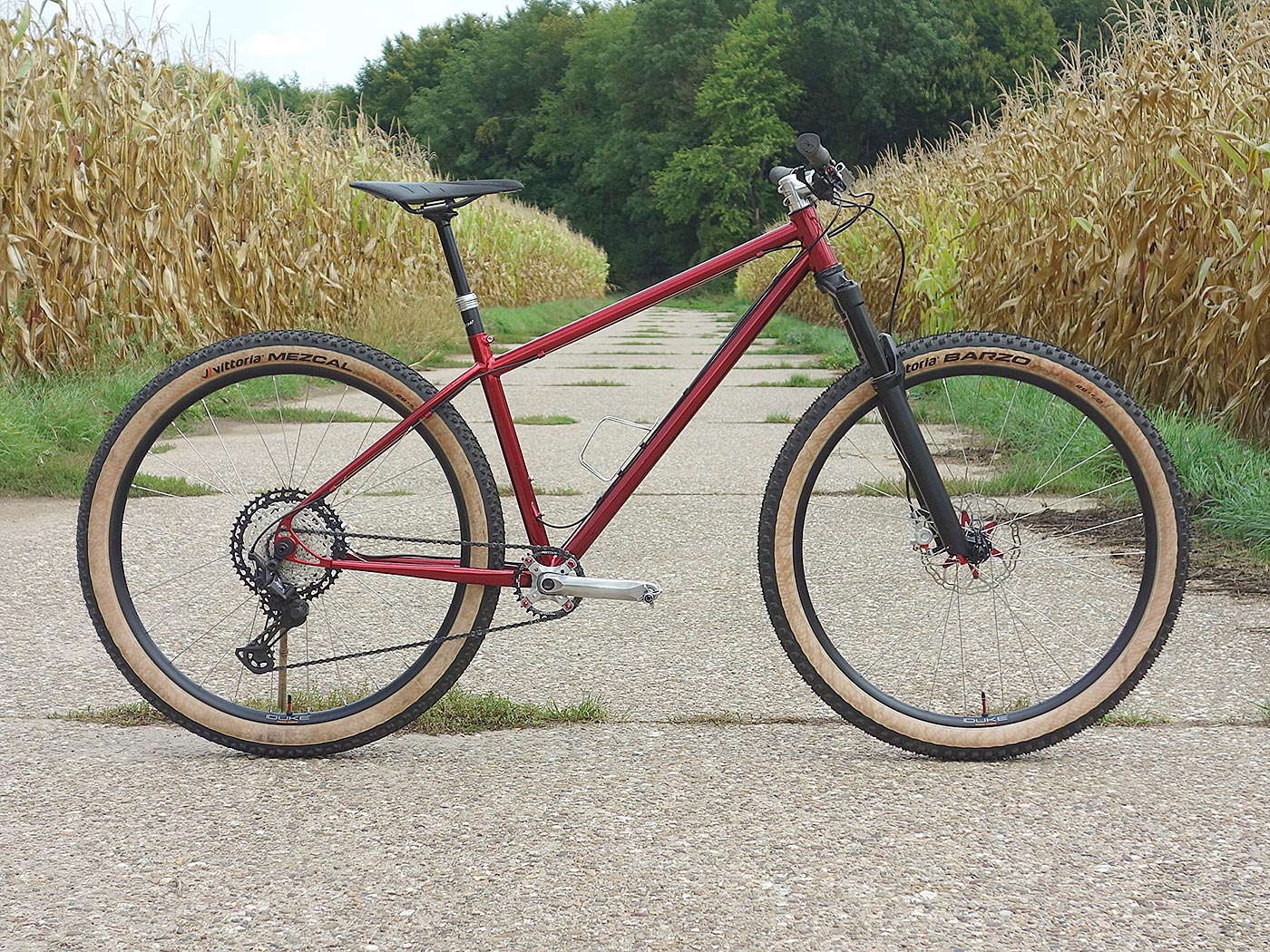 Puristisches Hardtail mit klarer Linie
